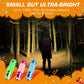 EverBrite Mini Glow in Dark Flashlights, Aluminum LED Flashlights Party Favors Assorted Colors for Camping, Hiking, Indoor (Batteries Included)