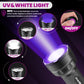 EverBrite 2-in-1 UV and White LED Flashlight, Dual Light Blacklight with AA Batteries (W）