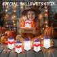 EverBrite Halloween Hanging Collapsible Ghost Lights, Two Color Changing, Indoor/Outdoor Halloween Spooky Party Decorations, Battery Included