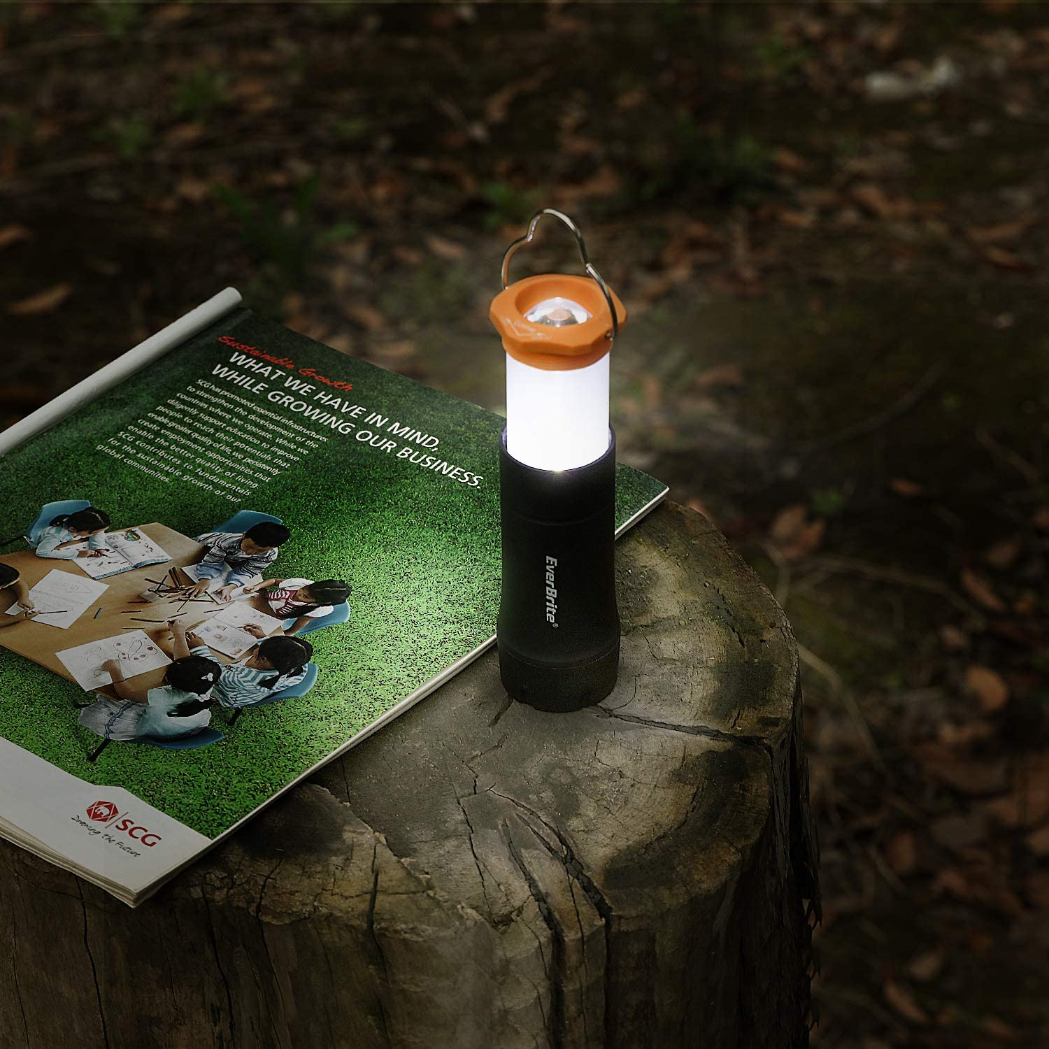 EverBrite Linterna para niños, mini linterna LED, uso de antorcha de  plástico para emergencias, camping, al aire libre con cordón 3AAA batería