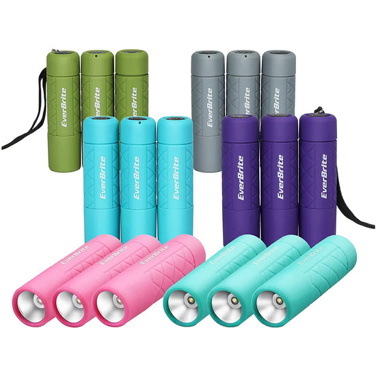 Everbrite 18 Pcs Mini LED Flashlight Set, Handheld Torches for Kids, Lanyard & 54 AAA Batteries Included